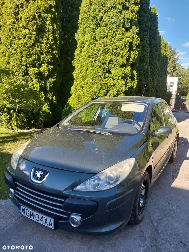 Peugeot 307 1.6 Oxygene - 1