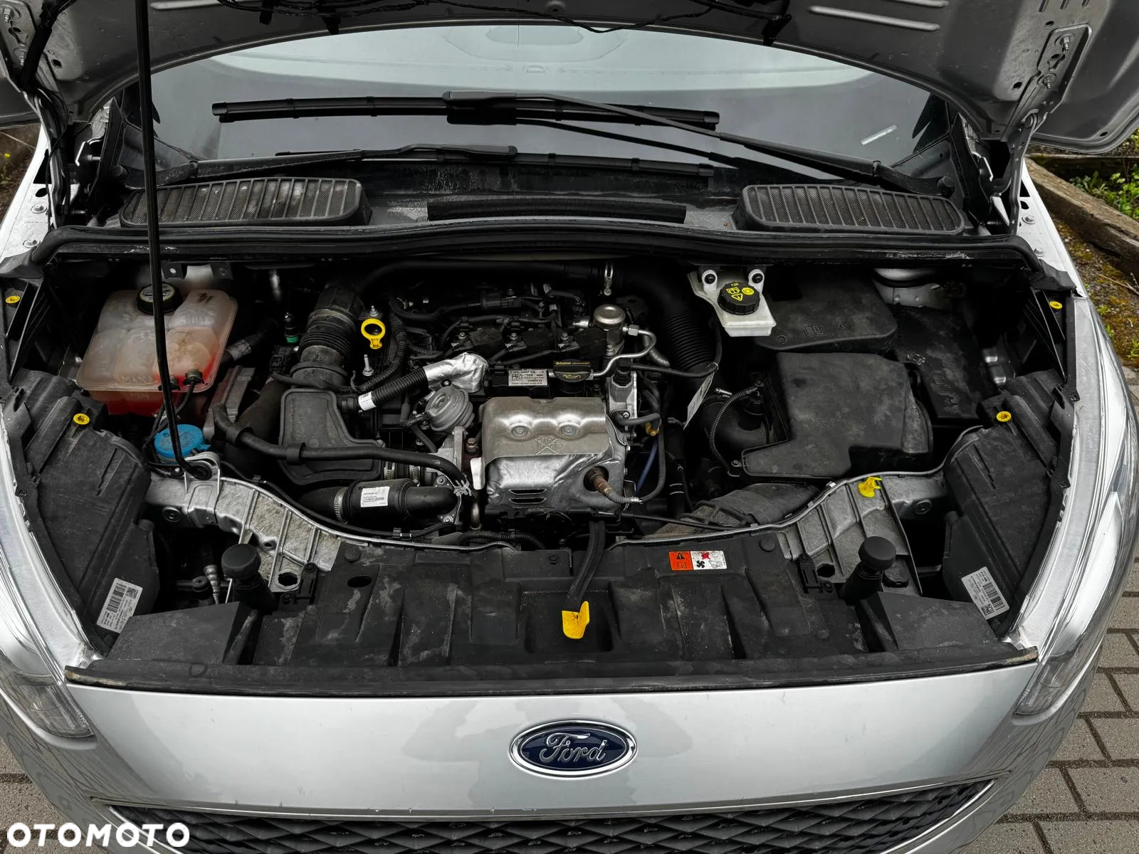 Ford Grand C-MAX Gr 1.0 EcoBoost Trend ASS - 21