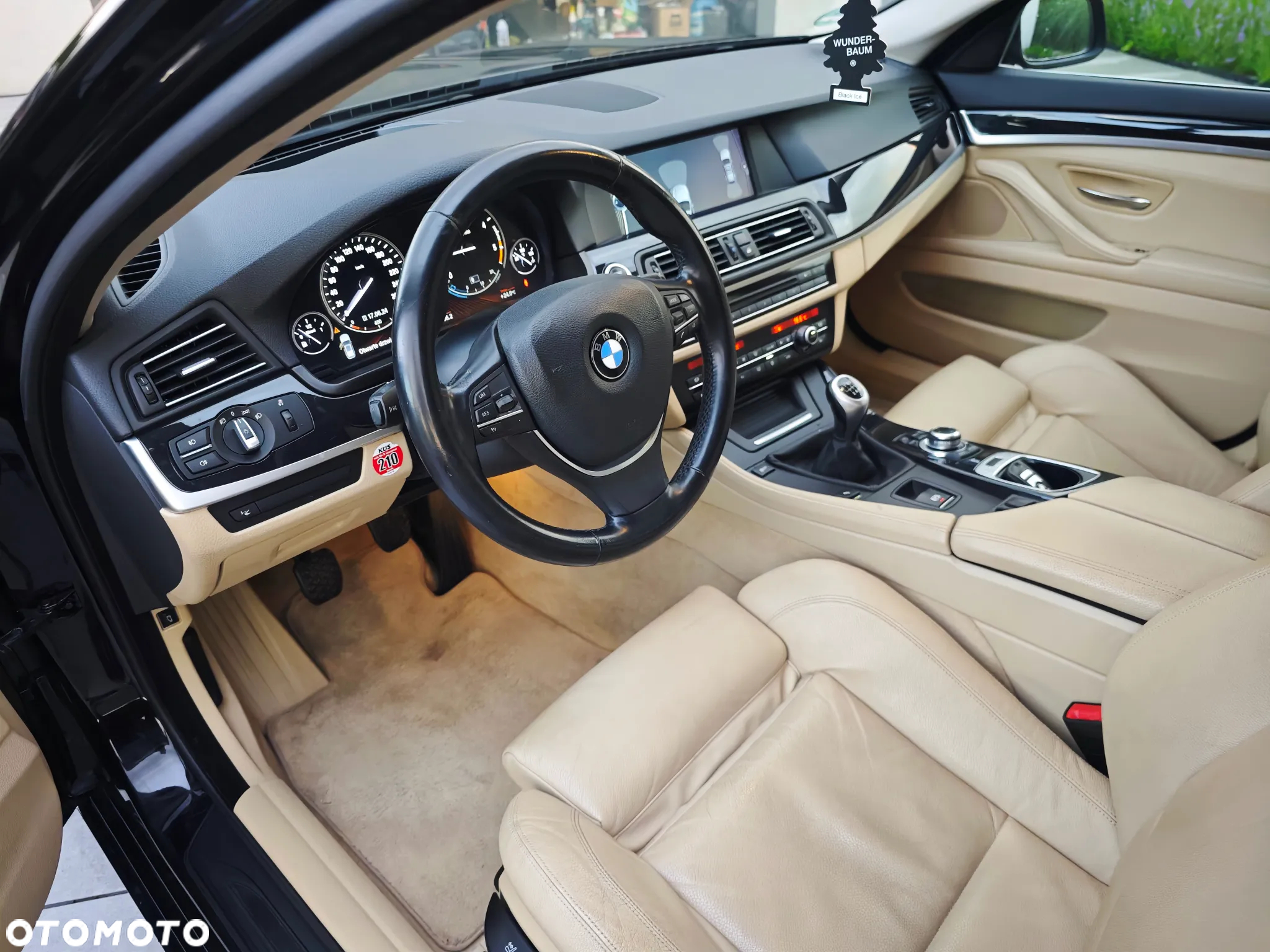 BMW Seria 5 525d - 8