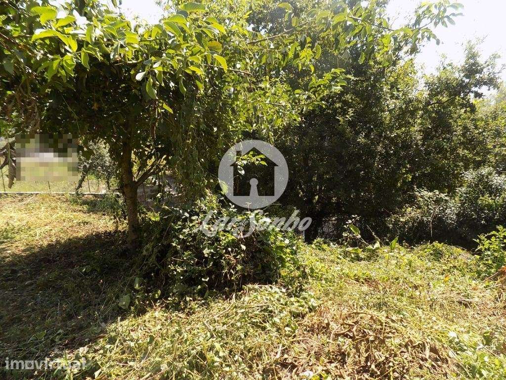 Terreno para construção com 778 m2  - Jesufrei - Grande imagem: 4/10