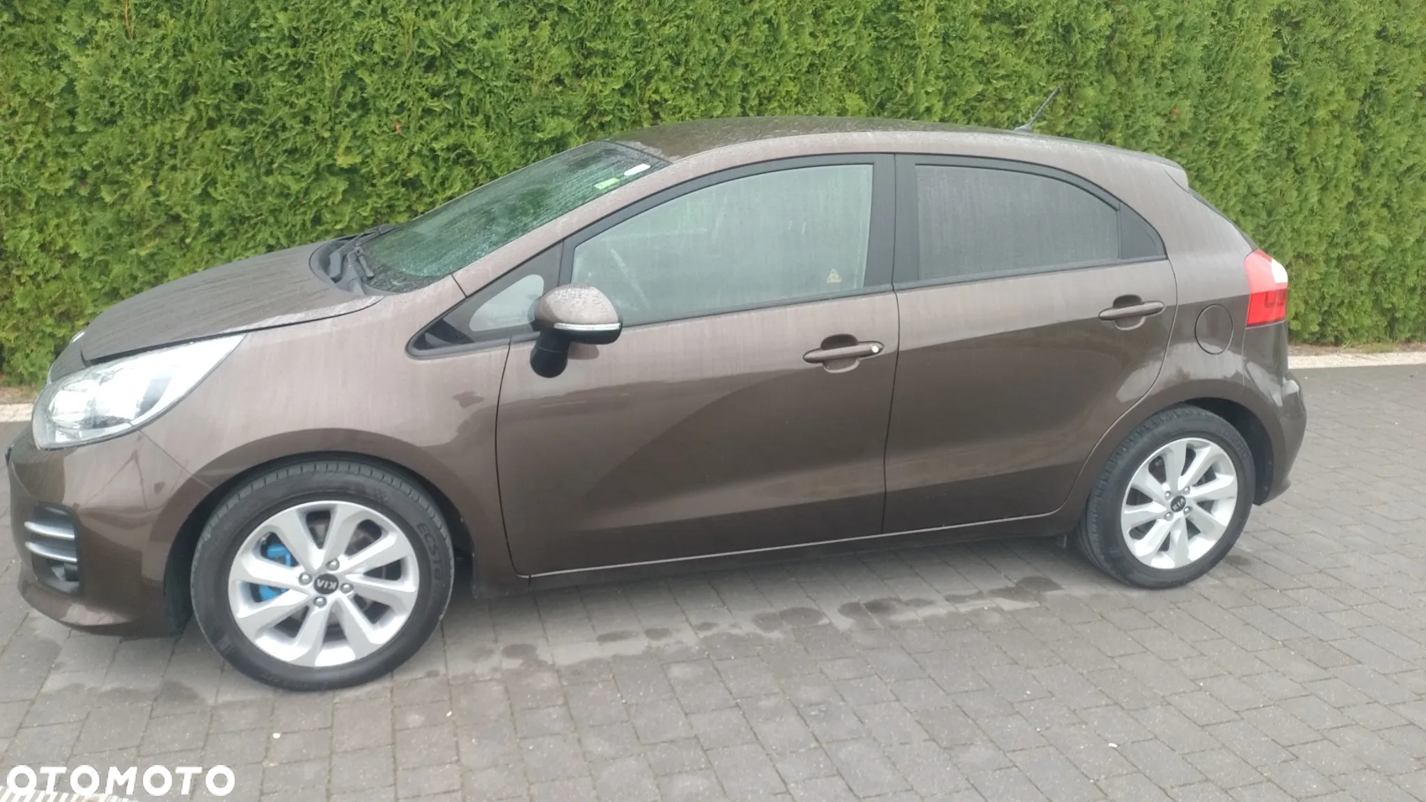 Kia Rio - 16