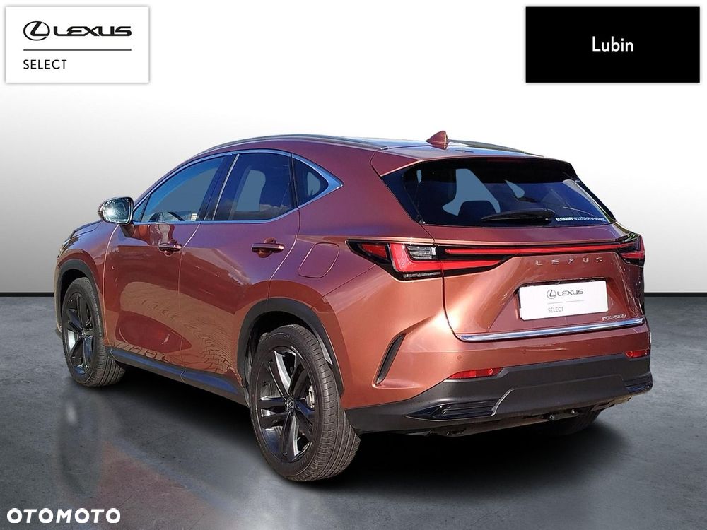 Lexus NX - 3