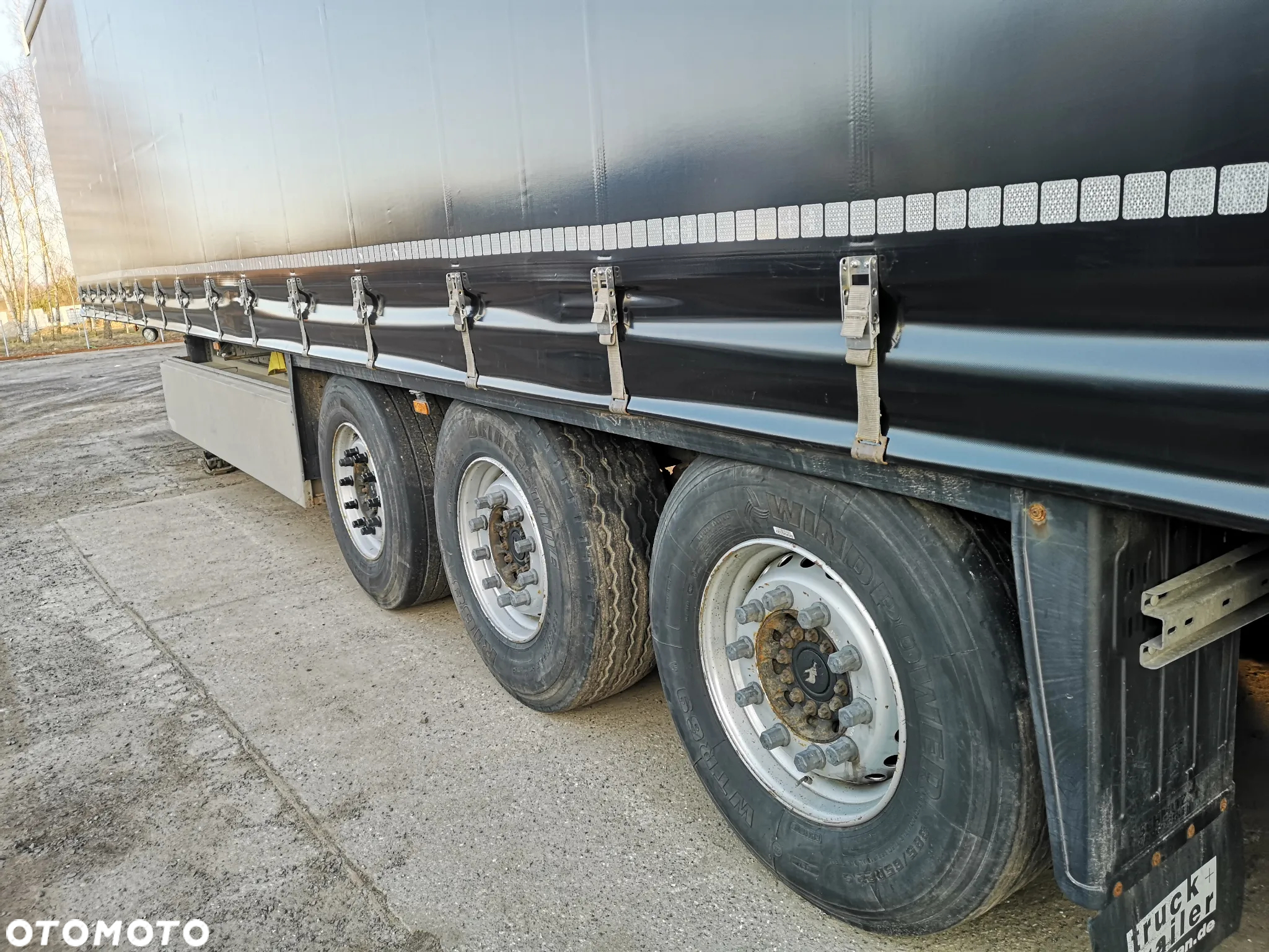 Schmitz Cargobull - 5