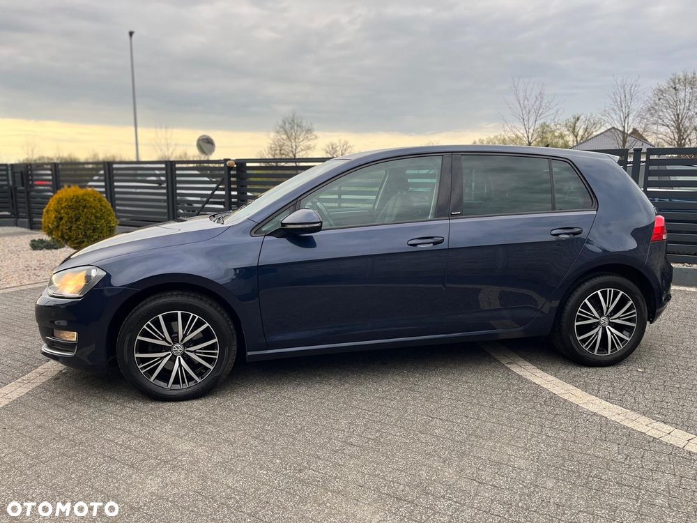 Volkswagen Golf 1.6 TDI BlueMotion Technology Allstar - 7