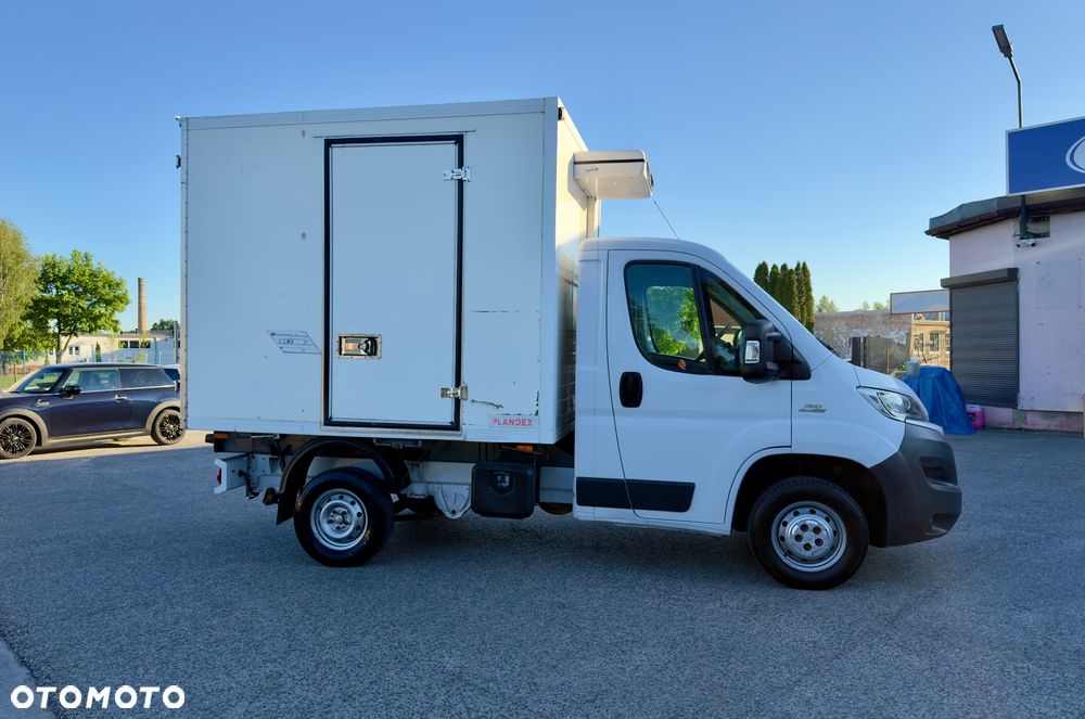 Fiat Ducato chłodnia /// Salon Polska /// carrier /// - 18
