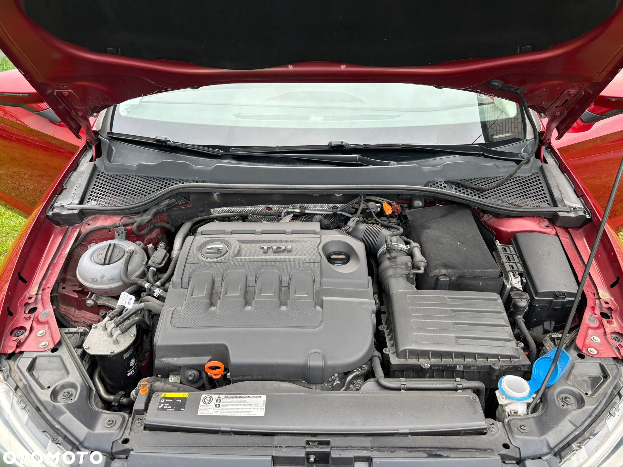 Seat Leon 2.0 TDI DPF DSG FR - 17