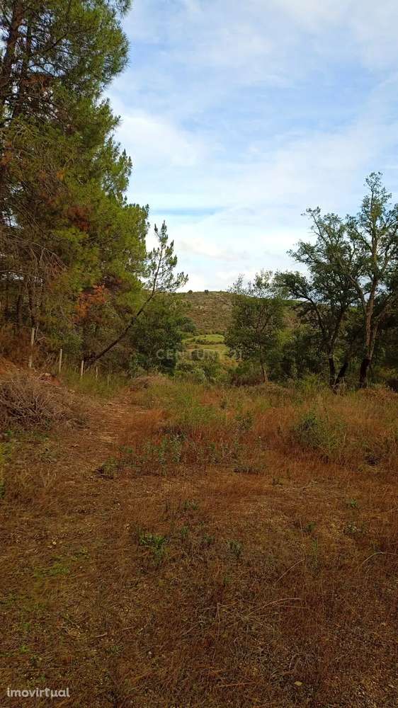 Terreno misto em Salgueiro do Campo, Castelo Branco - Grande imagem: 5/12