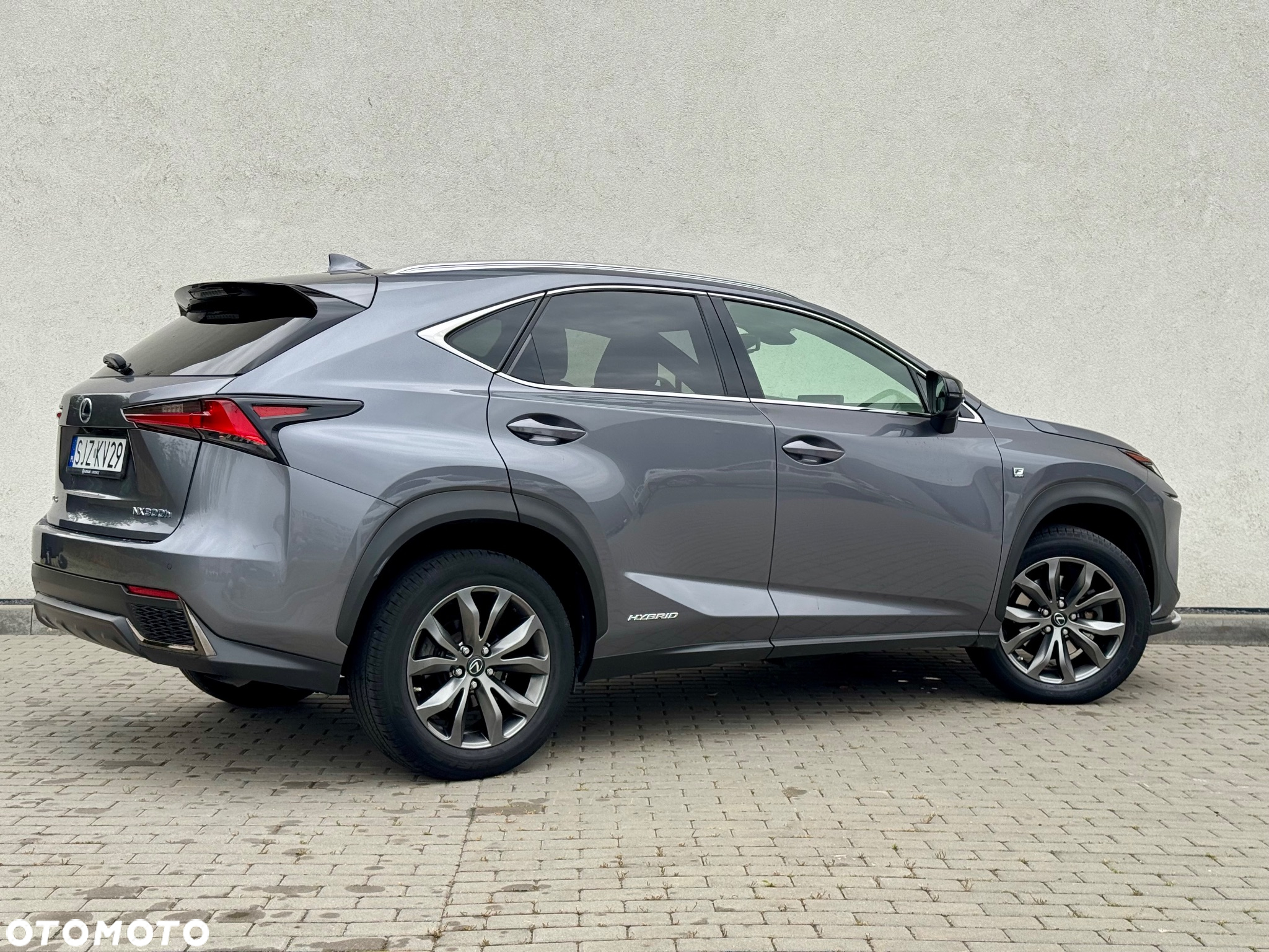 Lexus NX 300h F Sport Edition AWD - 10