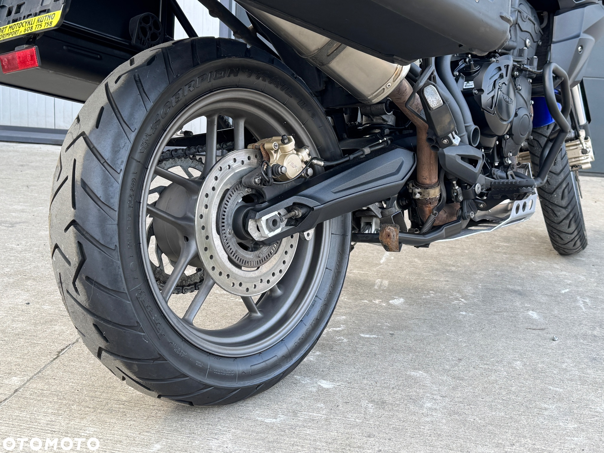 Triumph Tiger - 9