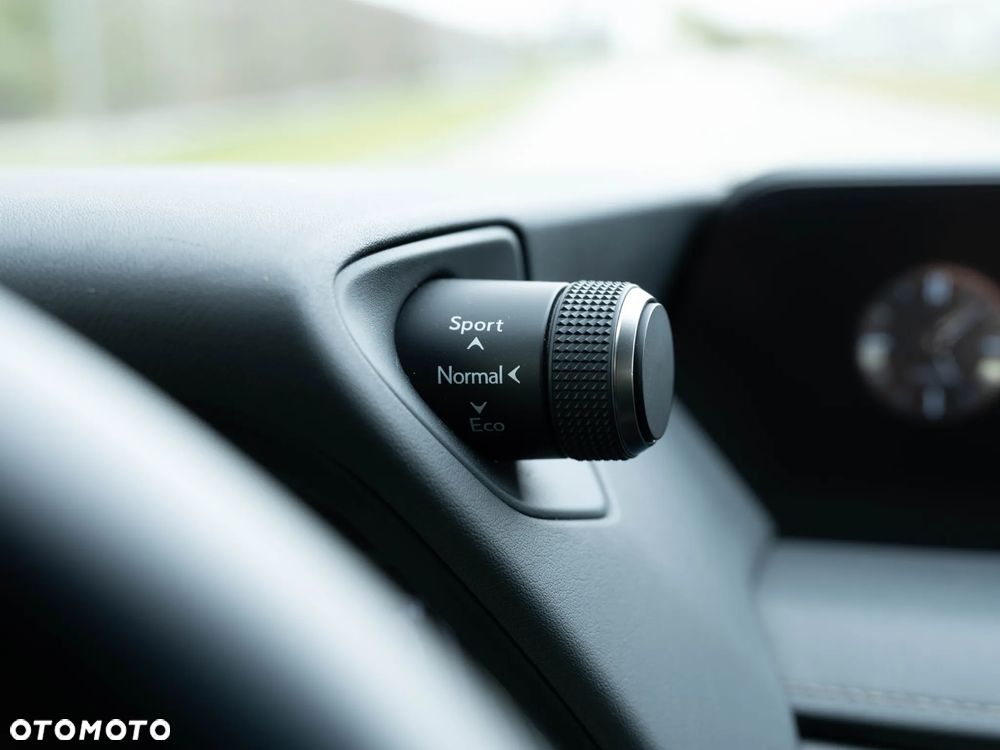 Lexus UX 250h Prestige 2WD - 38