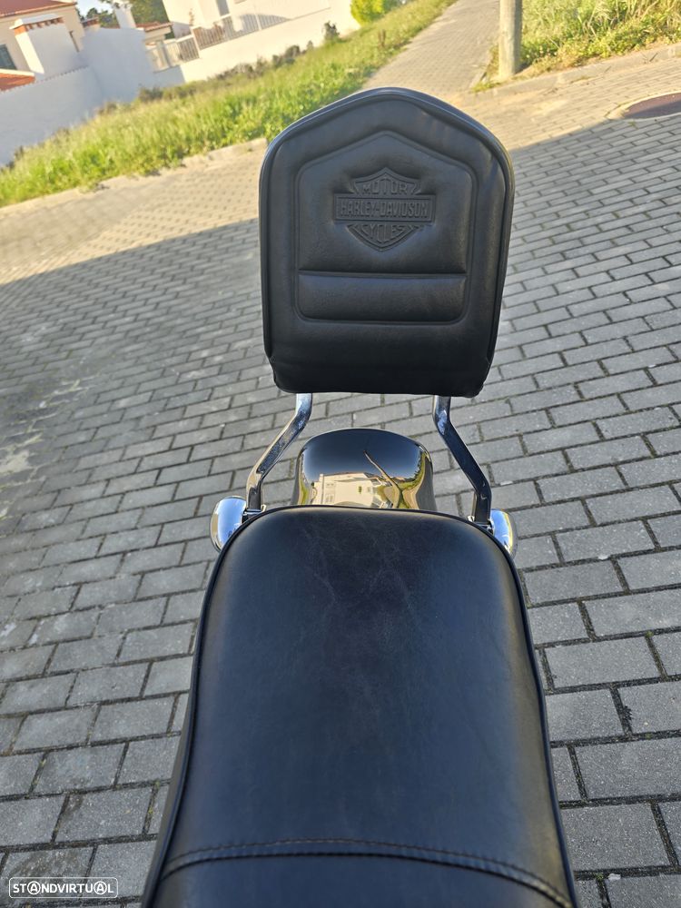 Harley-Davidson FLSTCI - 6