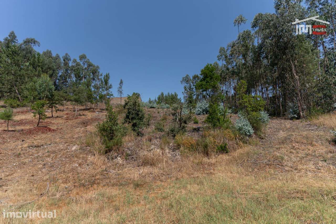Lote de terreno em Ourém - Grande imagem: 4/10