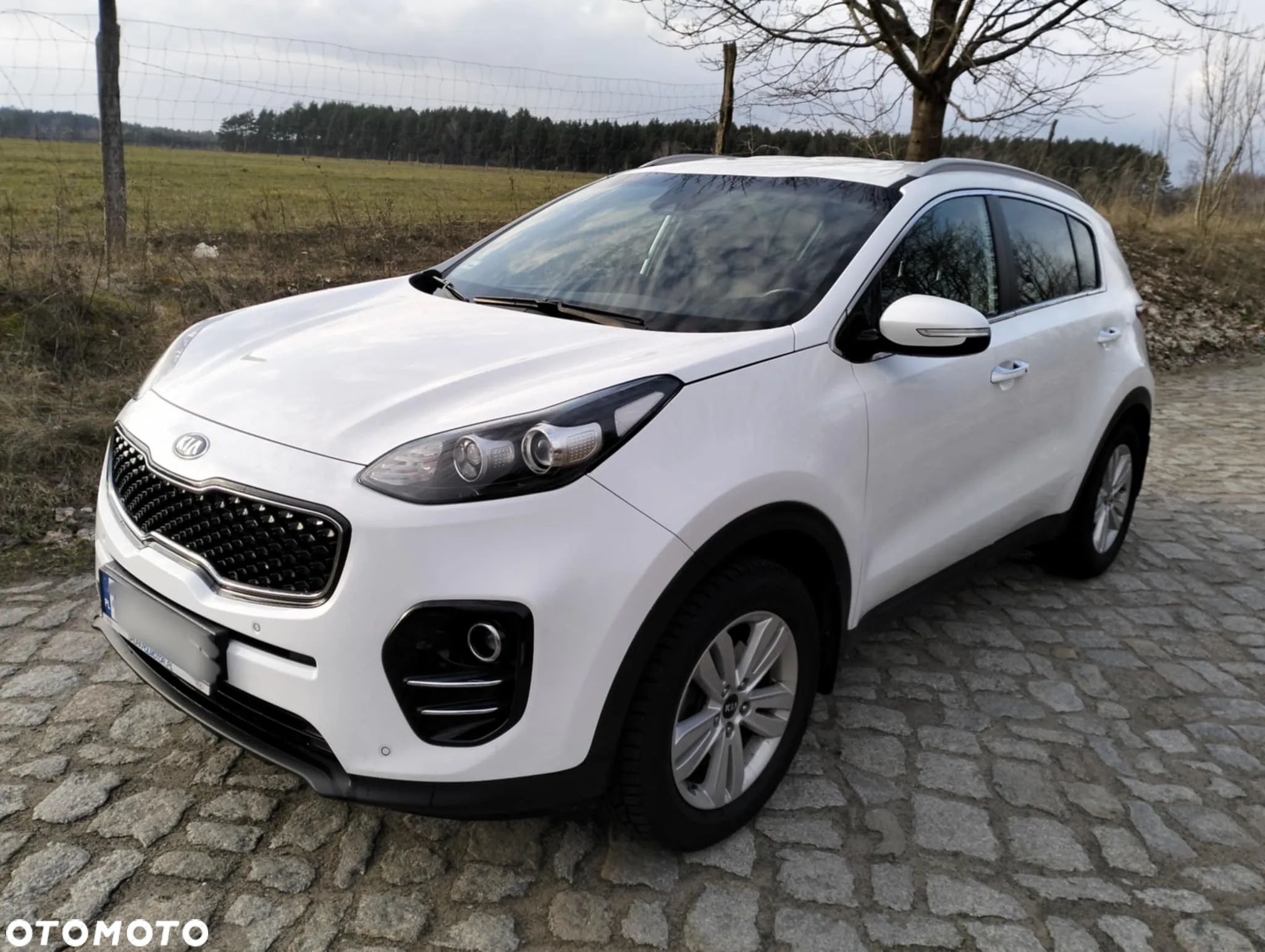 Kia Sportage 1.6 GDI Business Line 2WD - 1