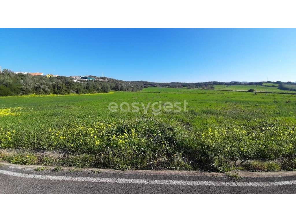 Terreno com 5600 metros quadrados em limites de Morelena. - Grande imagem: 2/13