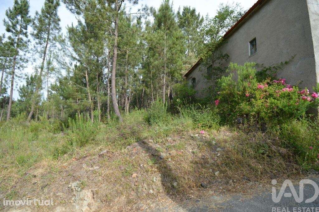 Casa / Villa T2 em Sertã de 78,00 m2 - Grande imagem: 3/10