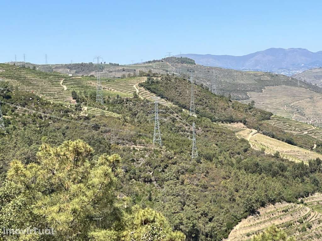 Terreno em Armamar, Vila Seca - Grande imagem: 5/9