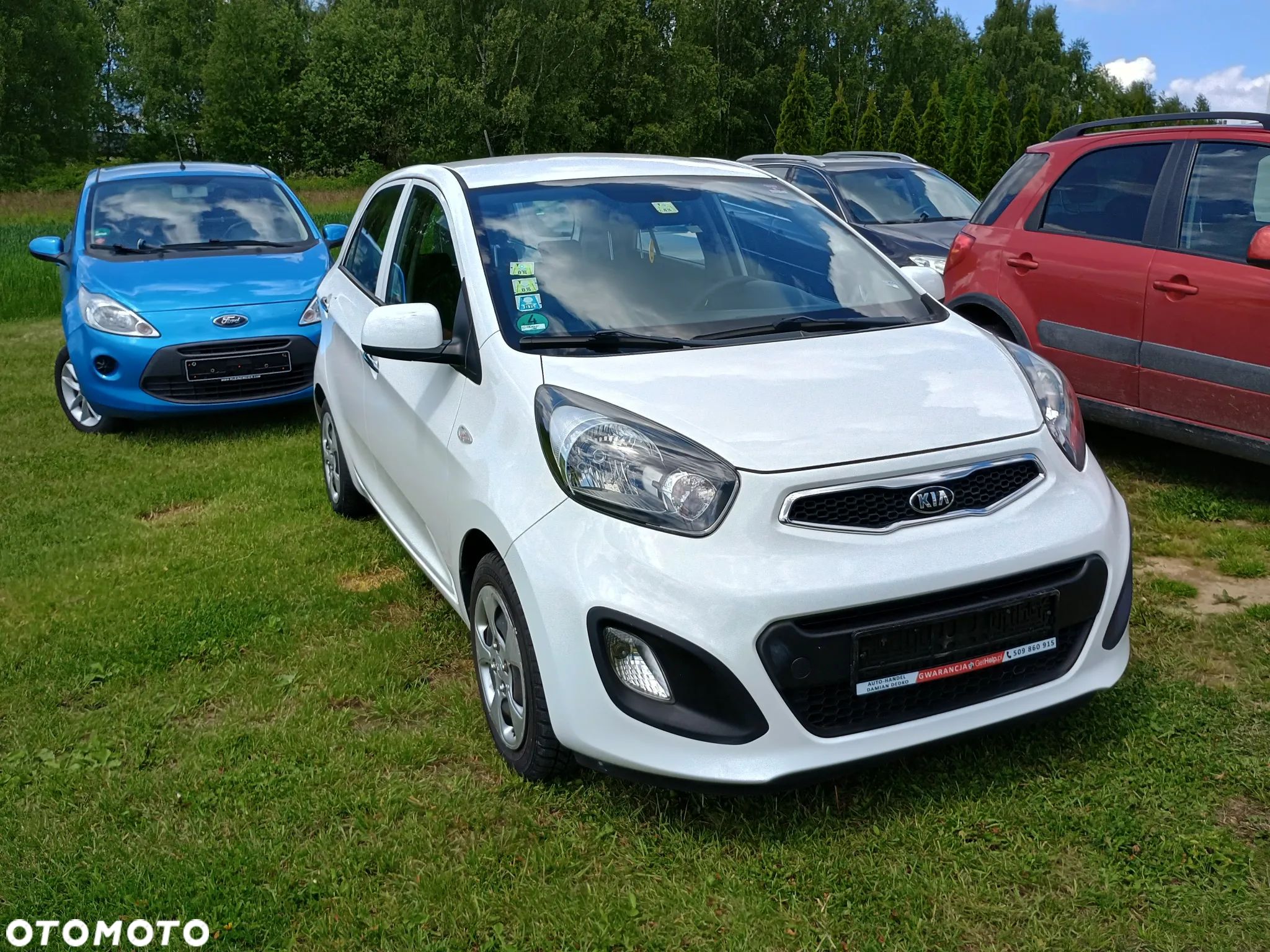 Kia Picanto 1.0 Business Line Plus - 1