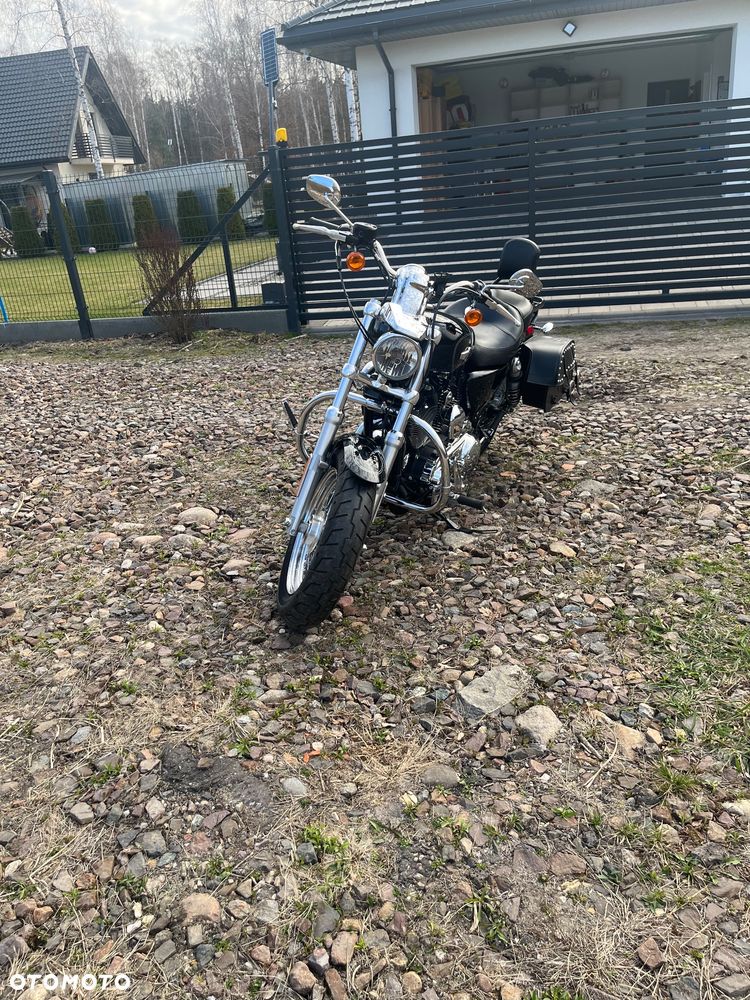 Harley-Davidson Sportster Custom 1200C - 3