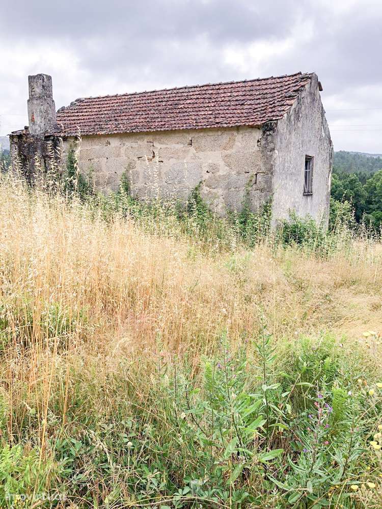 Quinta na Serra - um verdadeiro refúgio no meio da natureza! - Grande imagem: 2/6