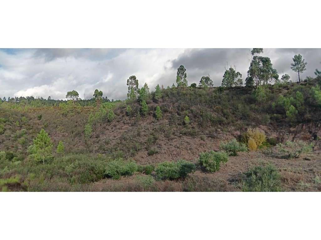 Terreno Rústico com 800 m² - Vale de Esteveira, Mação - Grande imagem: 3/8