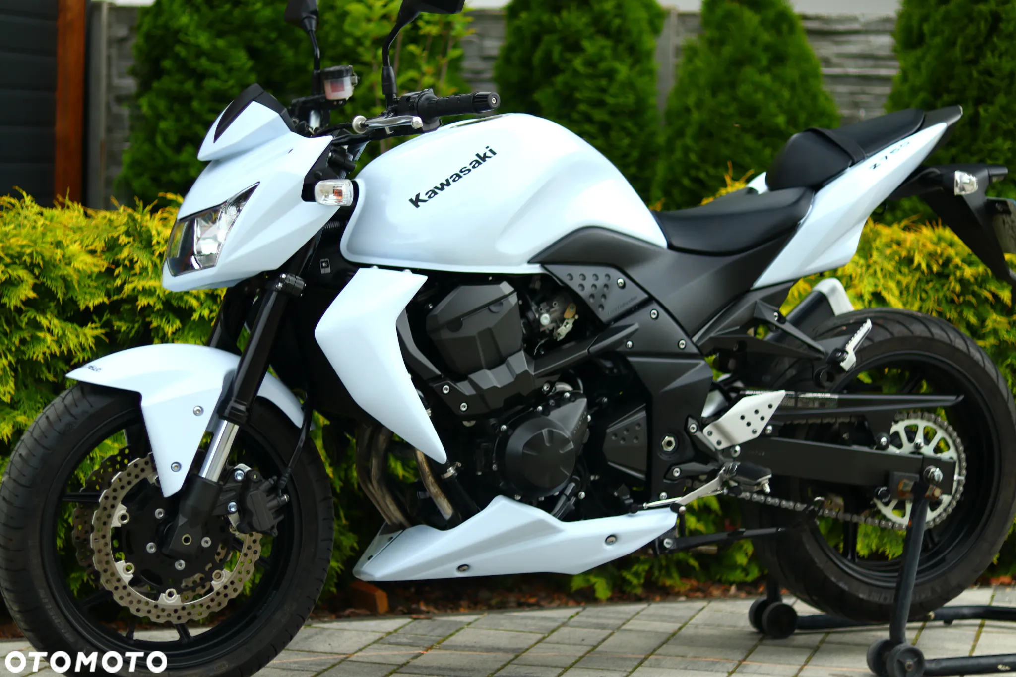 Kawasaki Z - 17