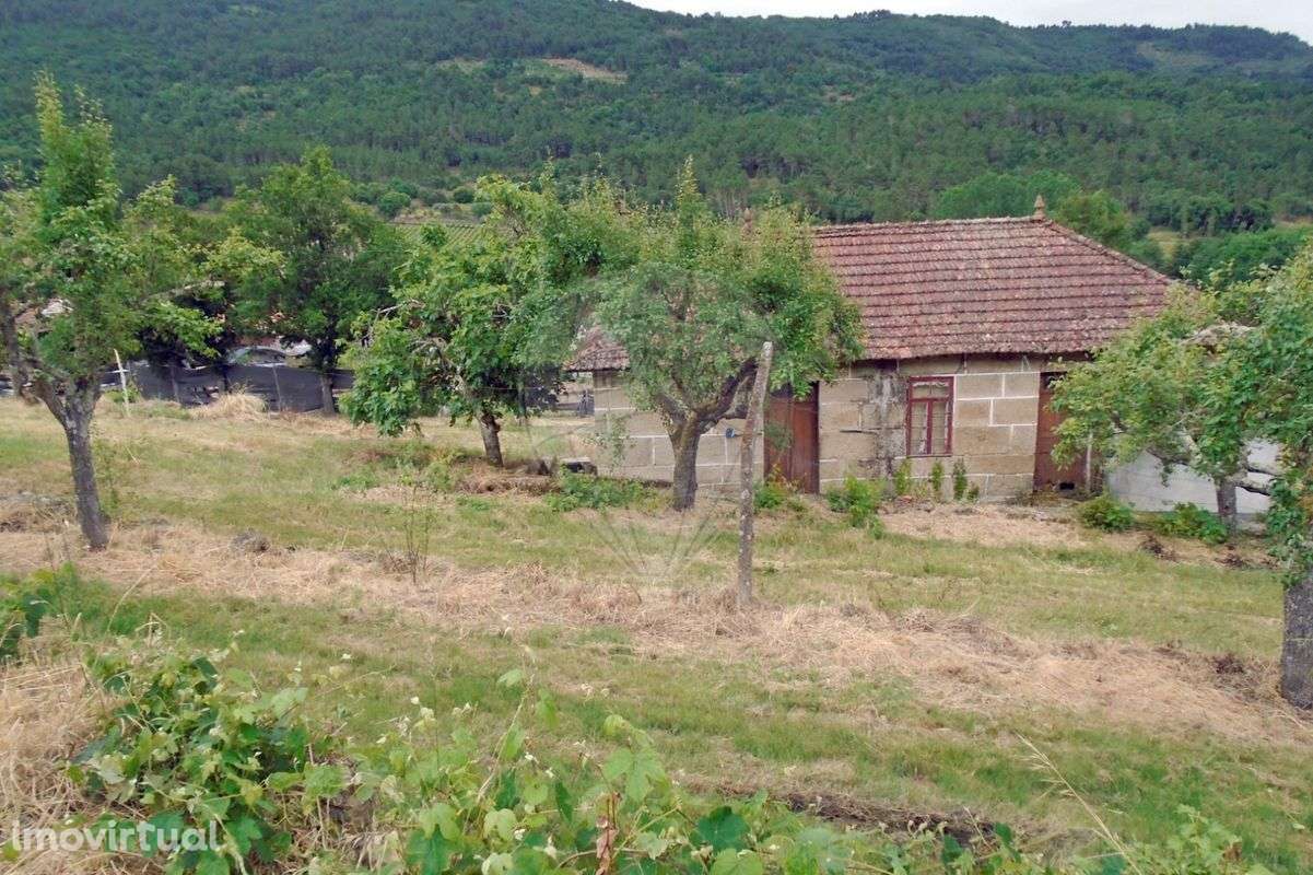 Quinta  para venda - Grande imagem: 4/18