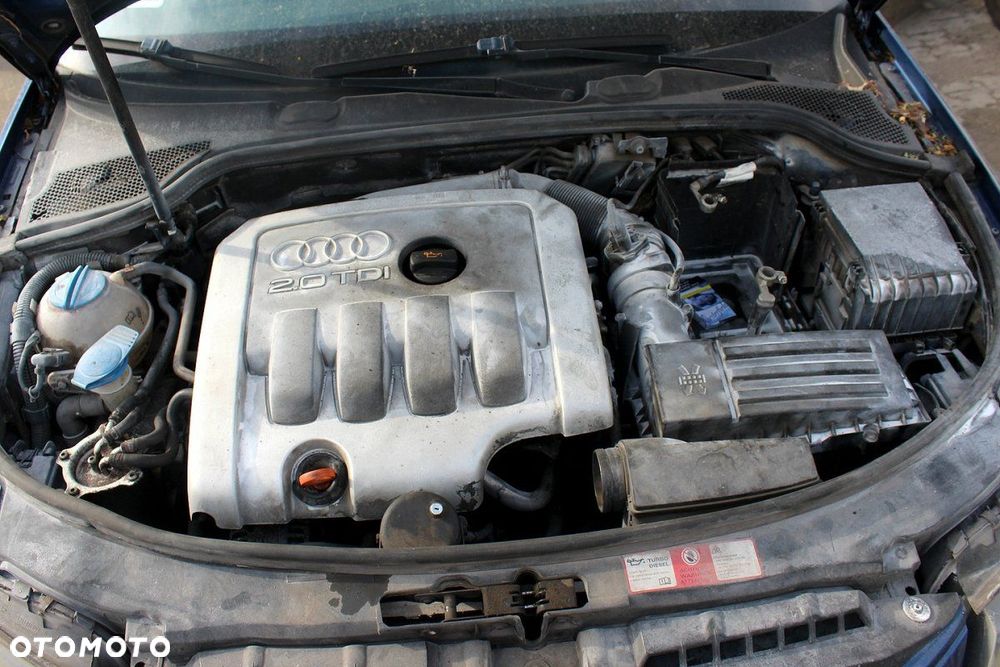 Audi A3 8P 2004 2.0TDI BKD Hatchback 3-drzwi (MASKA, ZDERZAK, LAMPA, BŁOTNIK, DRZWI, SZYBA, FOTEL) - 7