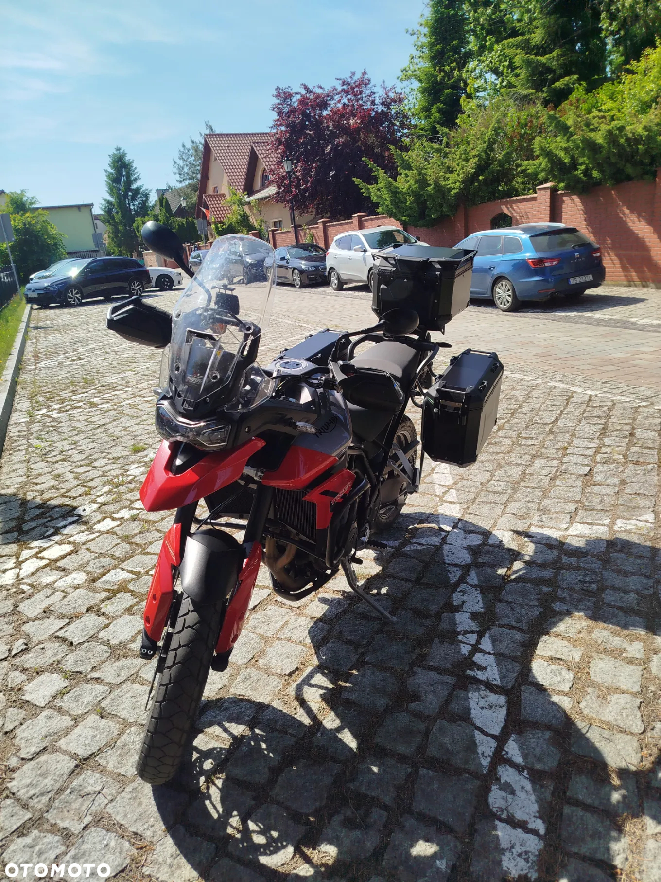 Triumph Tiger - 18