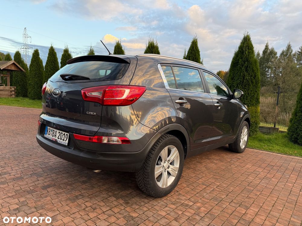 Kia Sportage - 6