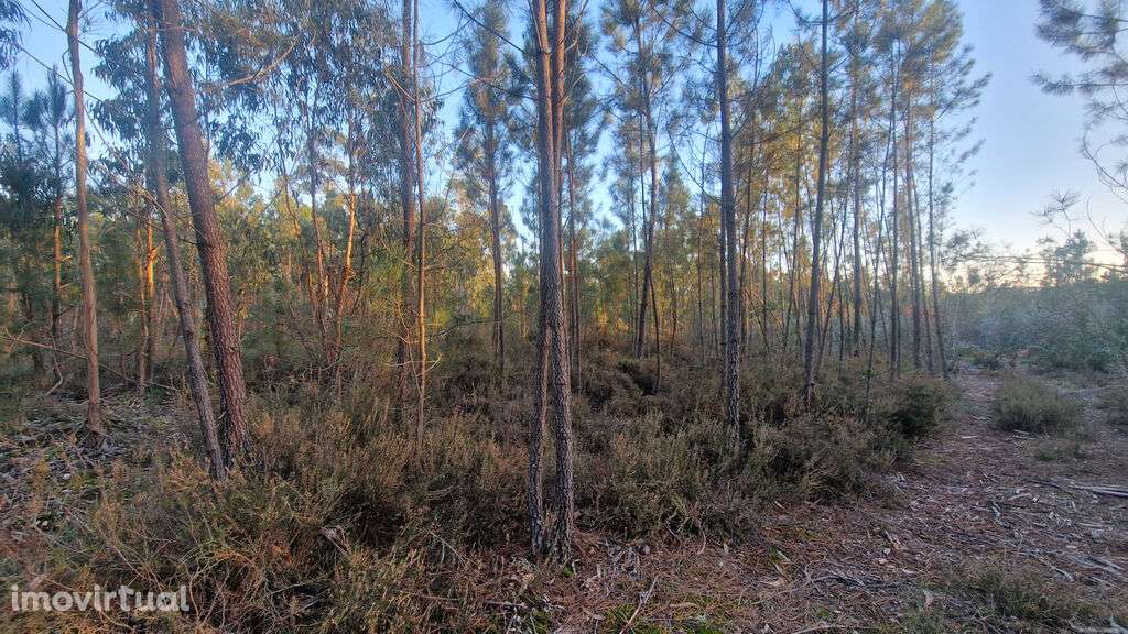 Venda Terreno - Grande imagem: 2/4