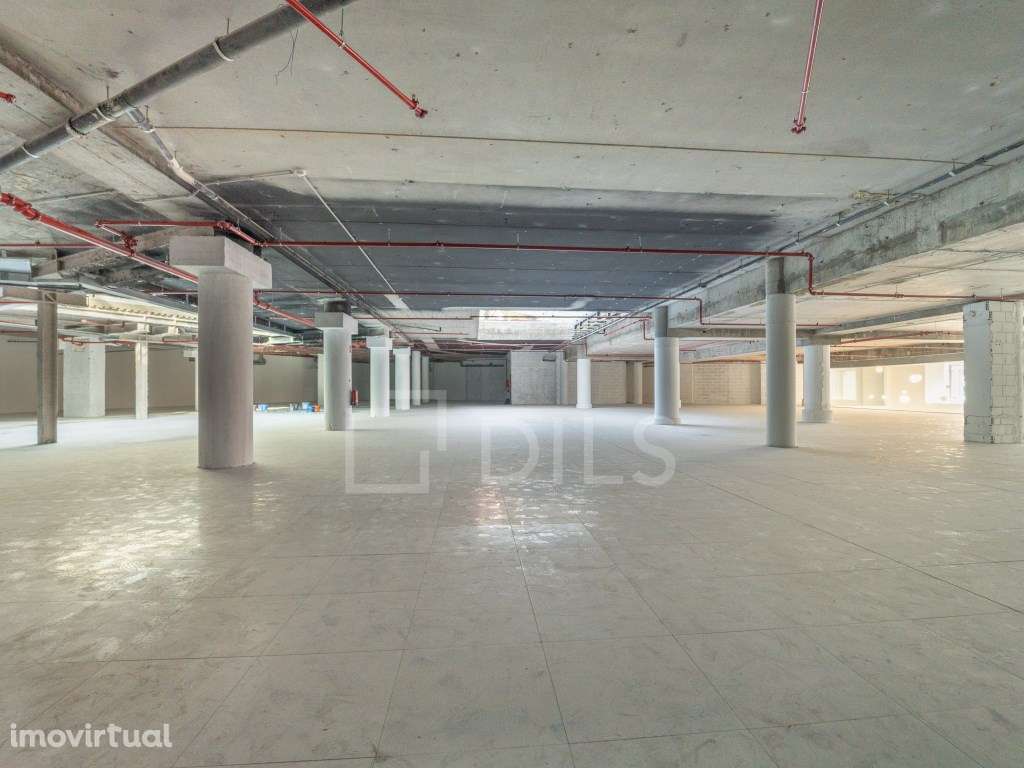 Escritório para arrendar, no edifício Trinity, no Porto - Grande imagem: 3/17