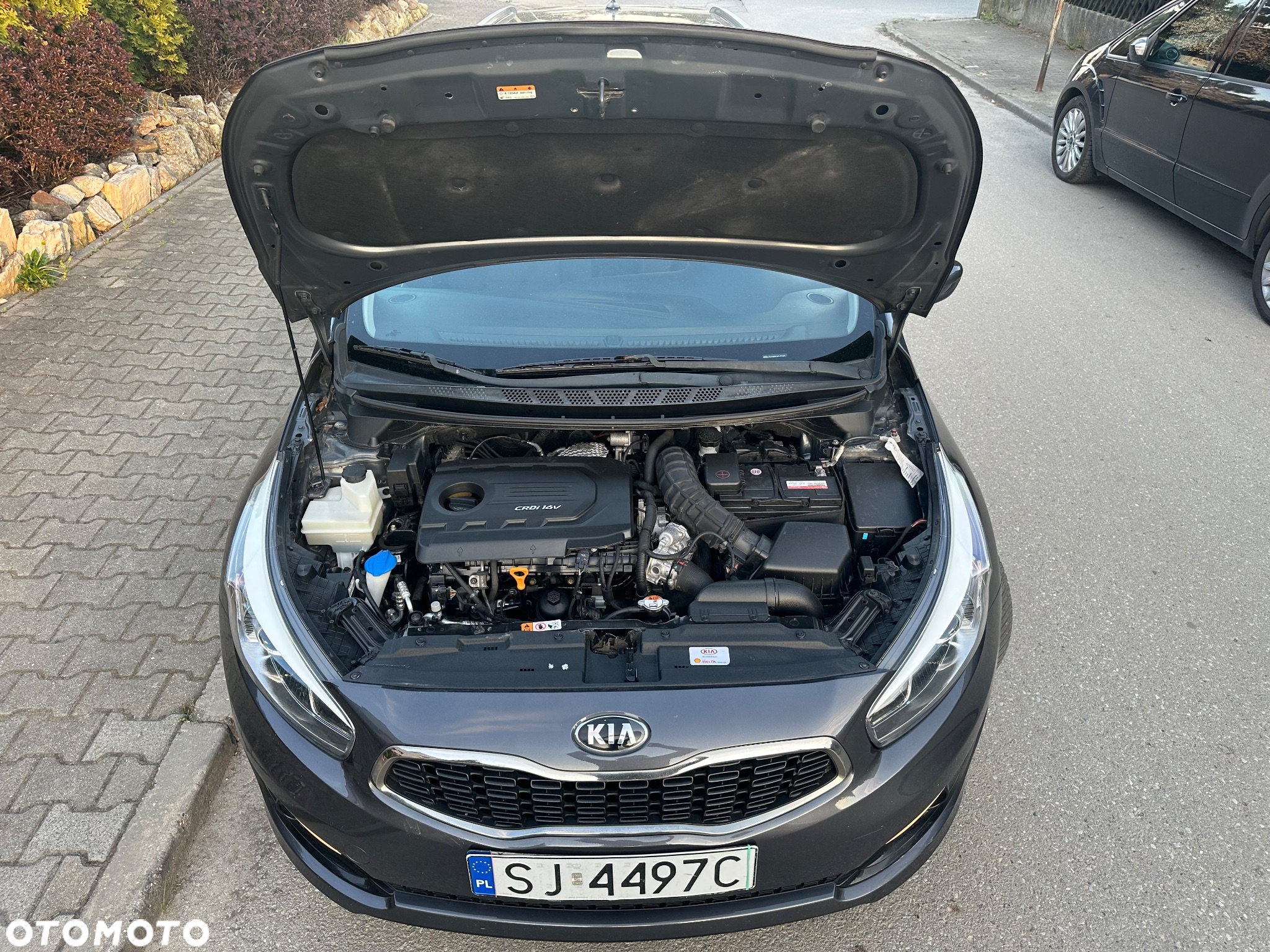 Kia Ceed 1.6 CRDi 136 ISG SW Spirit - 12