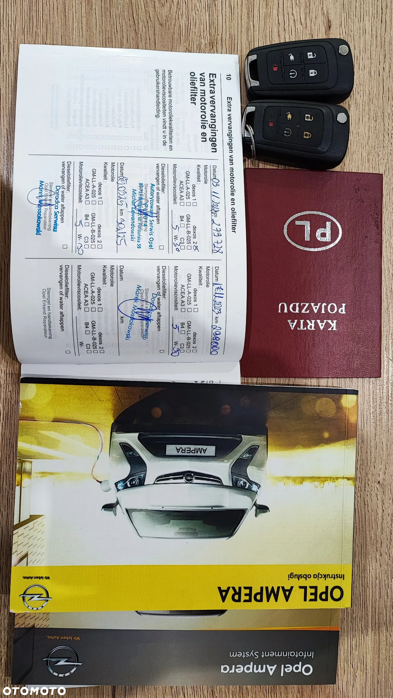 Opel Ampera - 13