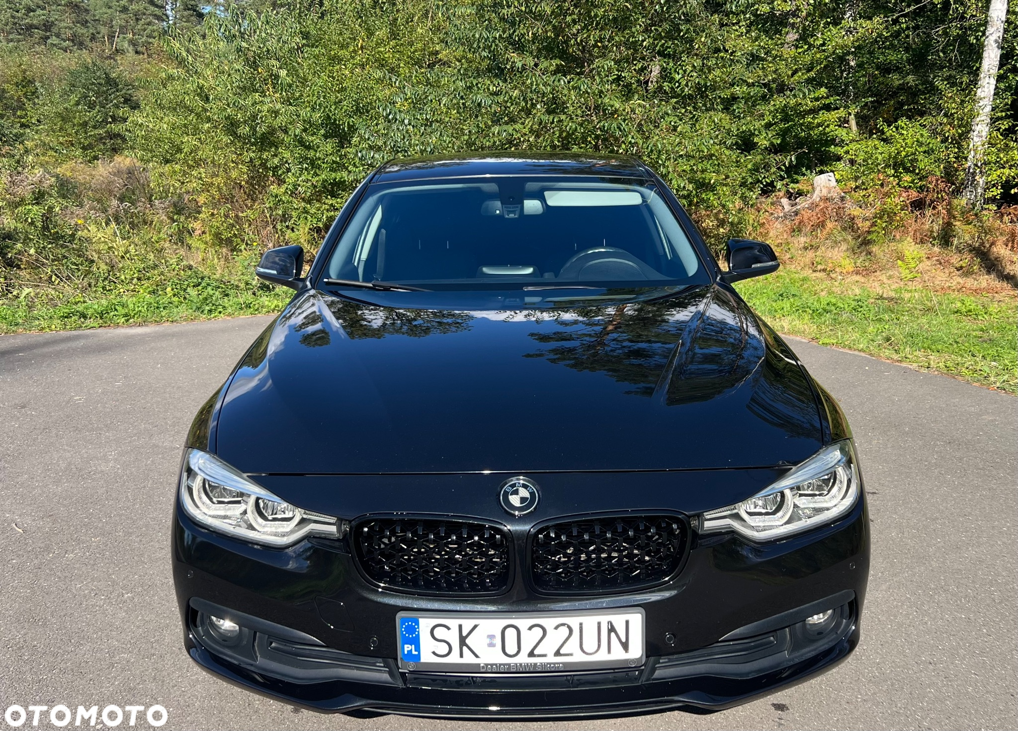 BMW Seria 3 320d Sport Line - 2