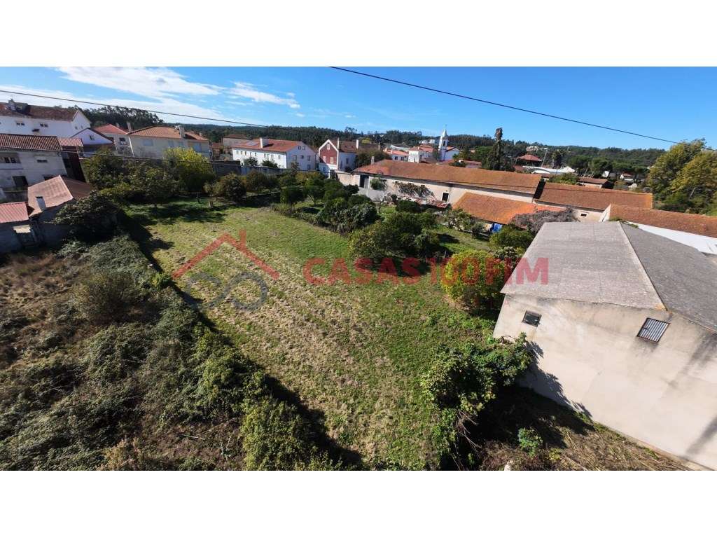 Parceiros, Azóia - Grande imagem: 3/20