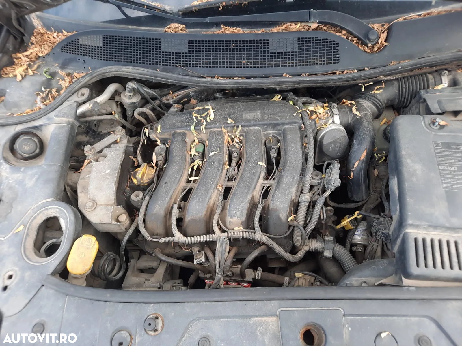 Dezmembrez Volkswagen New Beetle - 5