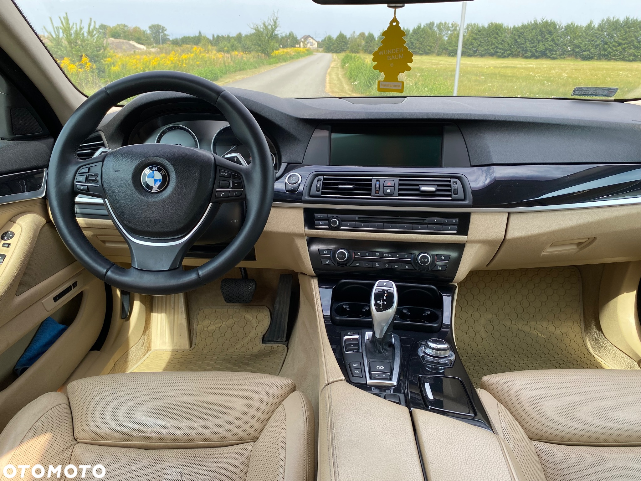 BMW Seria 5 530d xDrive - 16