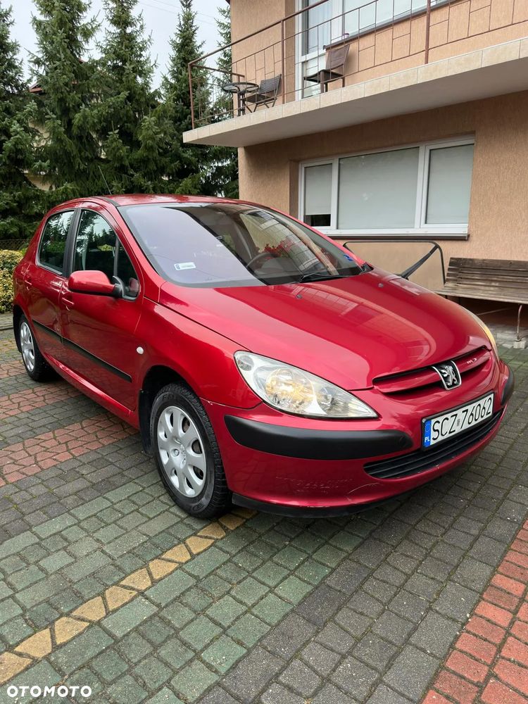 Peugeot 307 1.6 XS - 4
