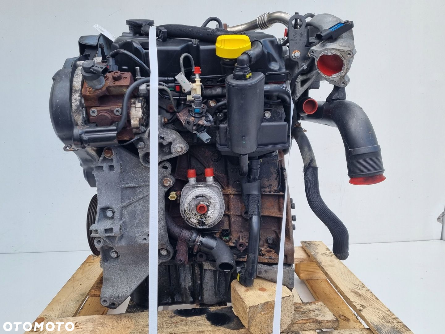 SILNIK KOMPLET Renault Scenic III 1.9 DCI 131KM F9Q870 - 4