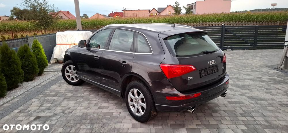 Audi Q5 2010 photo 3