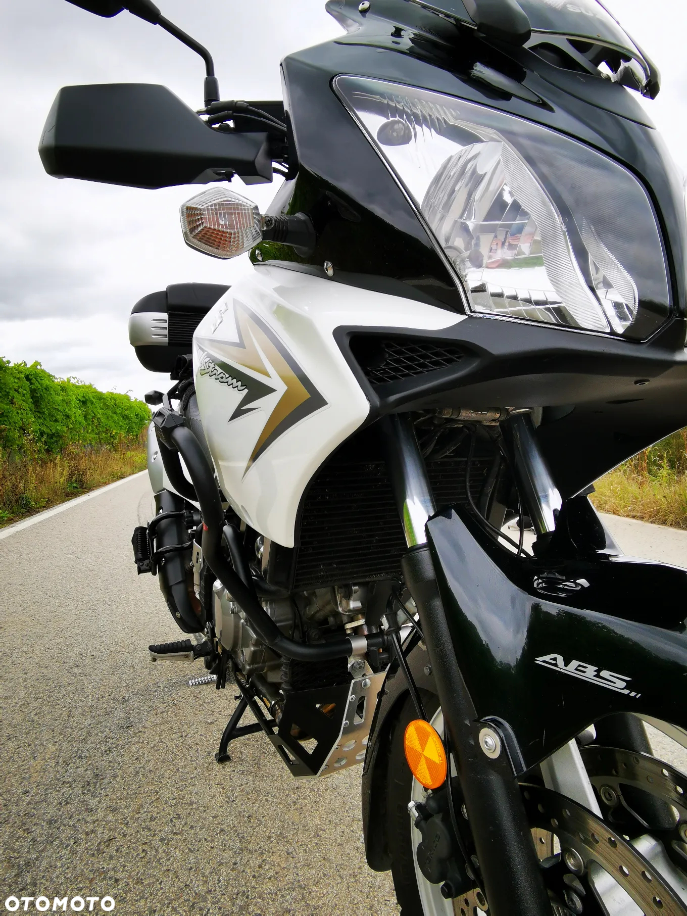 Suzuki DL - 7
