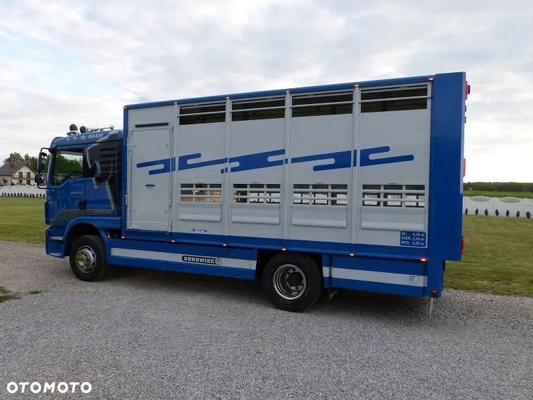 MAN TGM 15.250 DO ŻYWCA / ZWIERZĄT / BYDŁA / WAGA EL/. EURO 6 / DŁ. 5.20M /XENON - 33