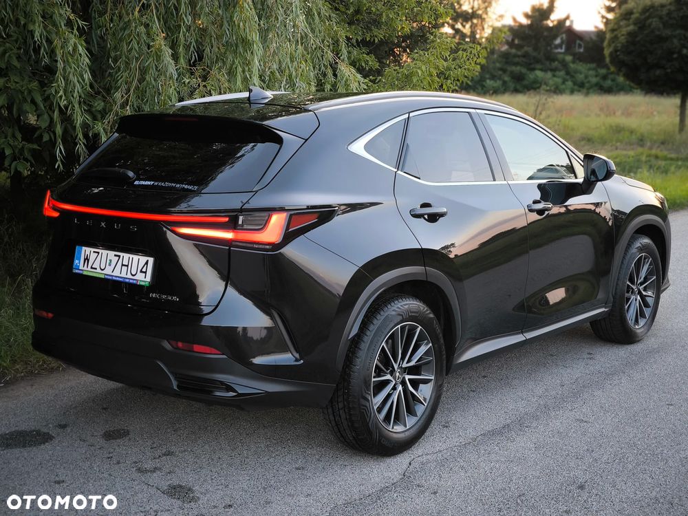 Lexus NX - 2