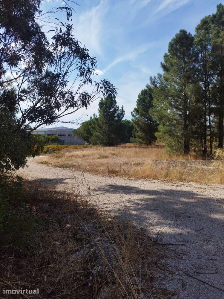 Terreno, 7 525 m², Palmela - Grande imagem: 5/11