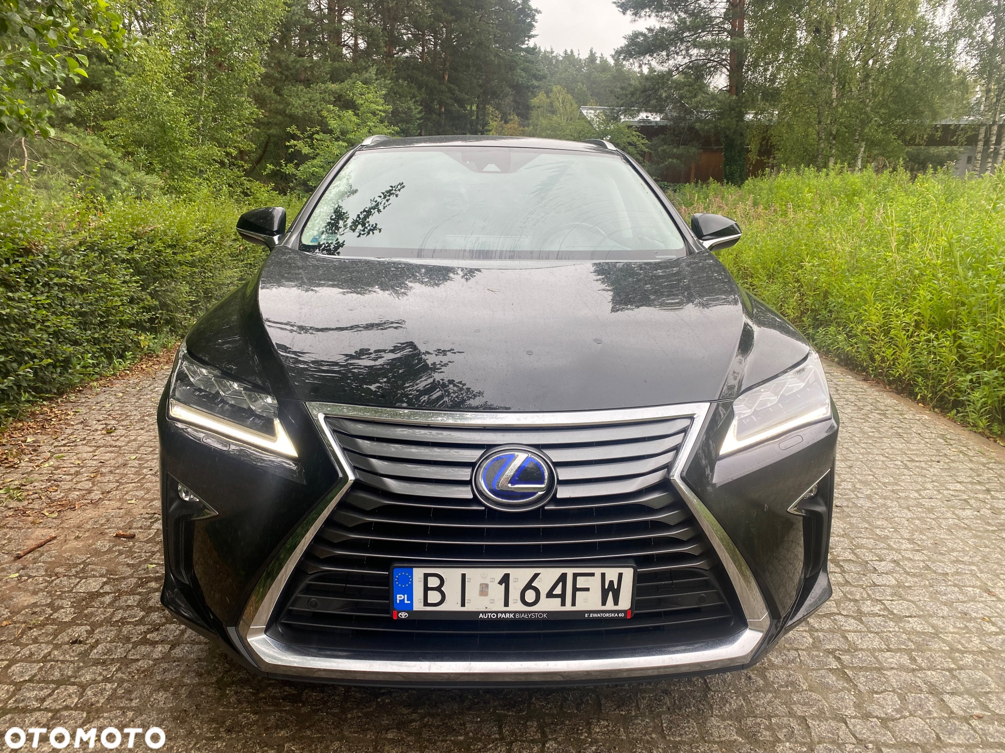 Lexus RX 450h L Prestige - 2
