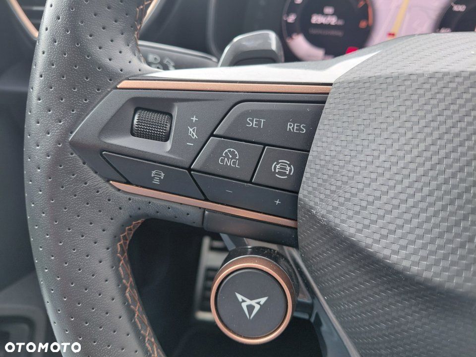 Cupra Formentor - 18