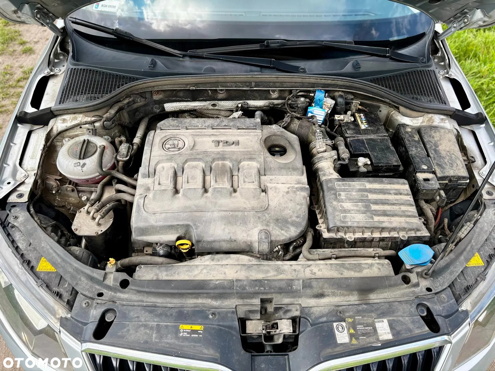Skoda Octavia 1.6 TDI Ambition - 20