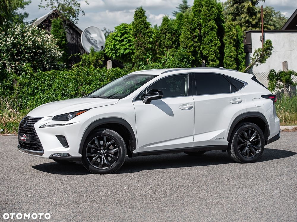 Lexus NX 300h Executive-Line - 7