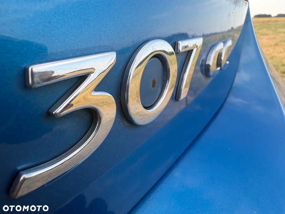 Peugeot 307 CC 2.0 - 21