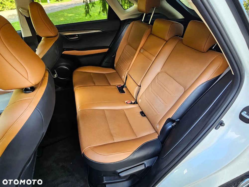 Lexus NX - 18